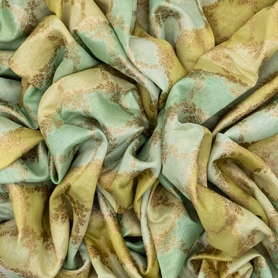 Multi Colour Handloom Banarasi Silk Cotton Saree With Jaal Motifs