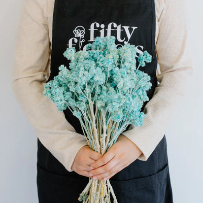 Baby Blue Dried Andean Asters