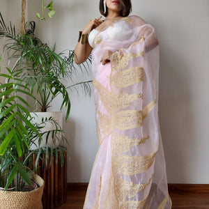 Baby Pink Semi-Pure Organza Saree with Exquisite Lucknowi Work & Matching Blouse