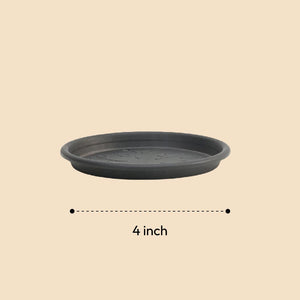 Gardening Plates - Black