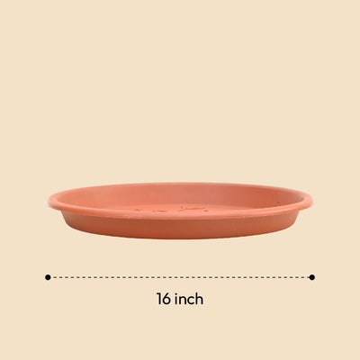 Gardening Plates - Terracotta Color