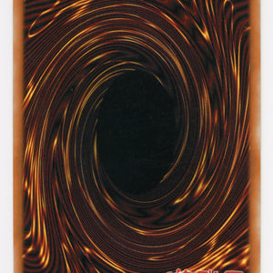 Black Luster Soldier - Envoy of the Beginning - IOC-025 - Ultra Rare - 1st Edition - Scan 13974