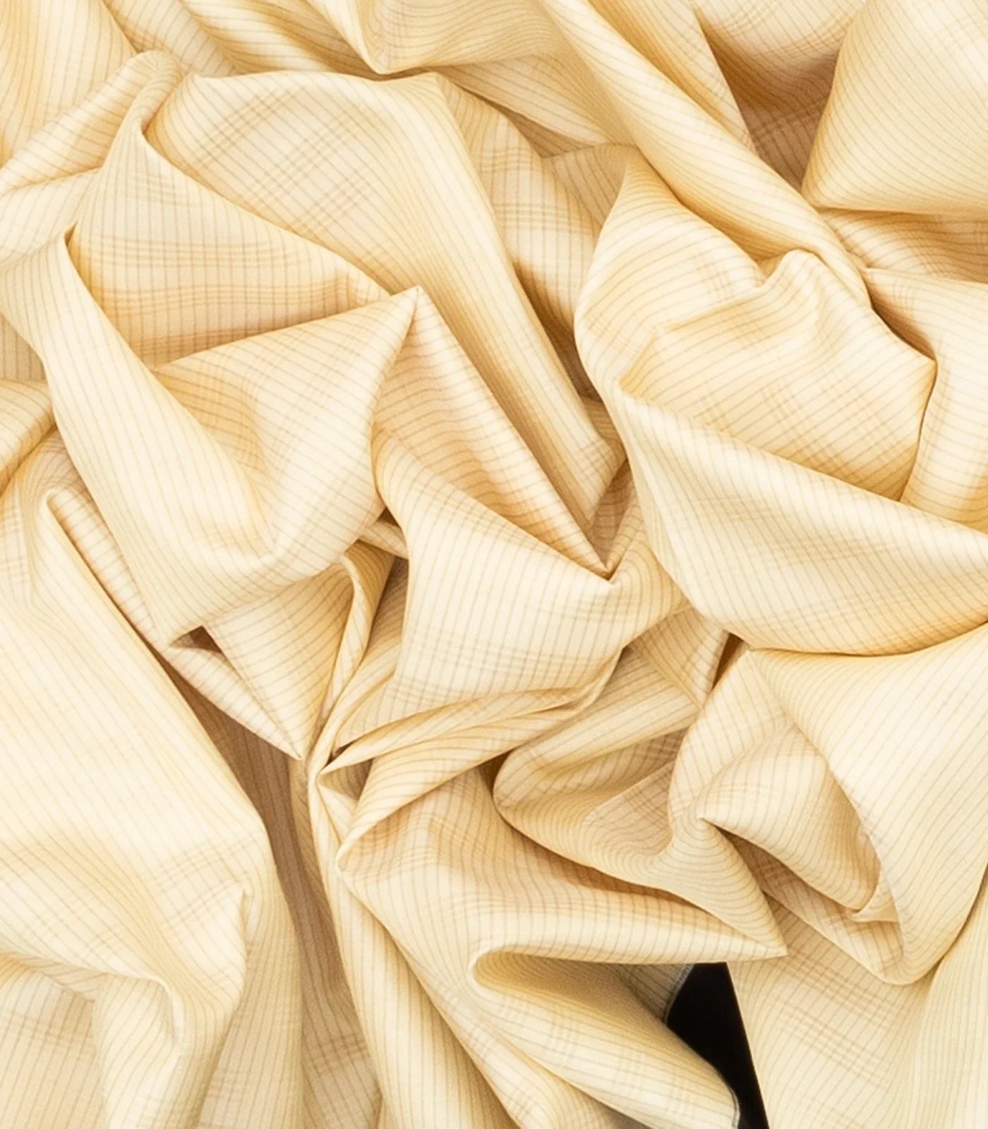 Cream Handloom Soft Silk Saree With Stripes & Contrast Black Border