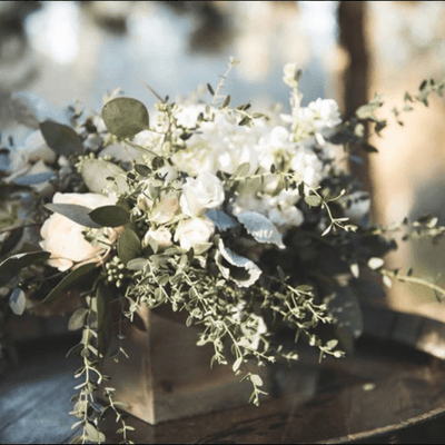 Early Fall Timeless Wedding