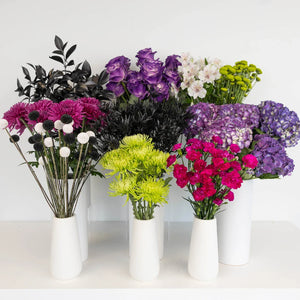 Beetlejuice Halloween DIY Flower Kit