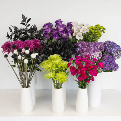 Beetlejuice Halloween DIY Flower Kit