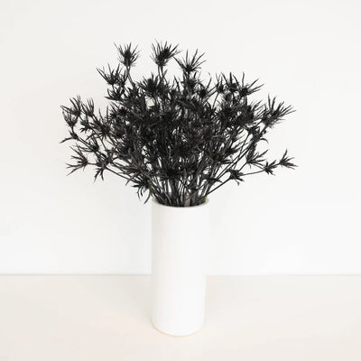 Black Thistle Flowers