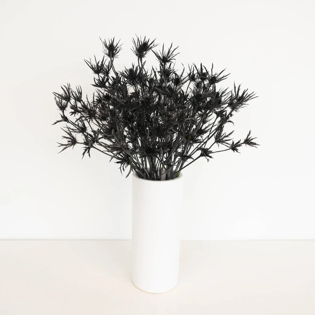Black Thistle Flowers