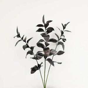 Black Tinted Ruscus Greenery