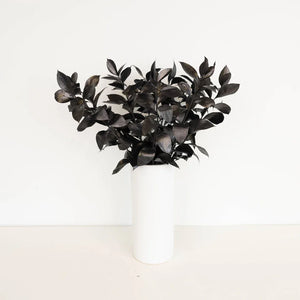 Black Tinted Ruscus Greenery