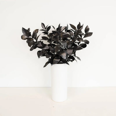 Black Tinted Ruscus Greenery