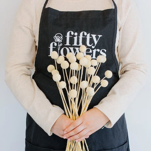 Bleached Dried Craspedia Billy Balls