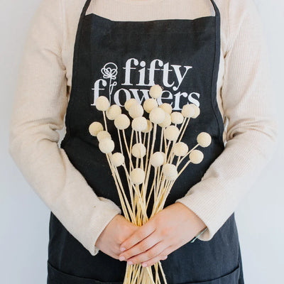 Bleached Dried Craspedia Billy Balls