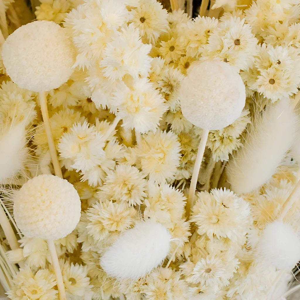 Natural Dried Flower Pack