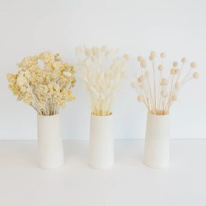 Natural Dried Flower Pack