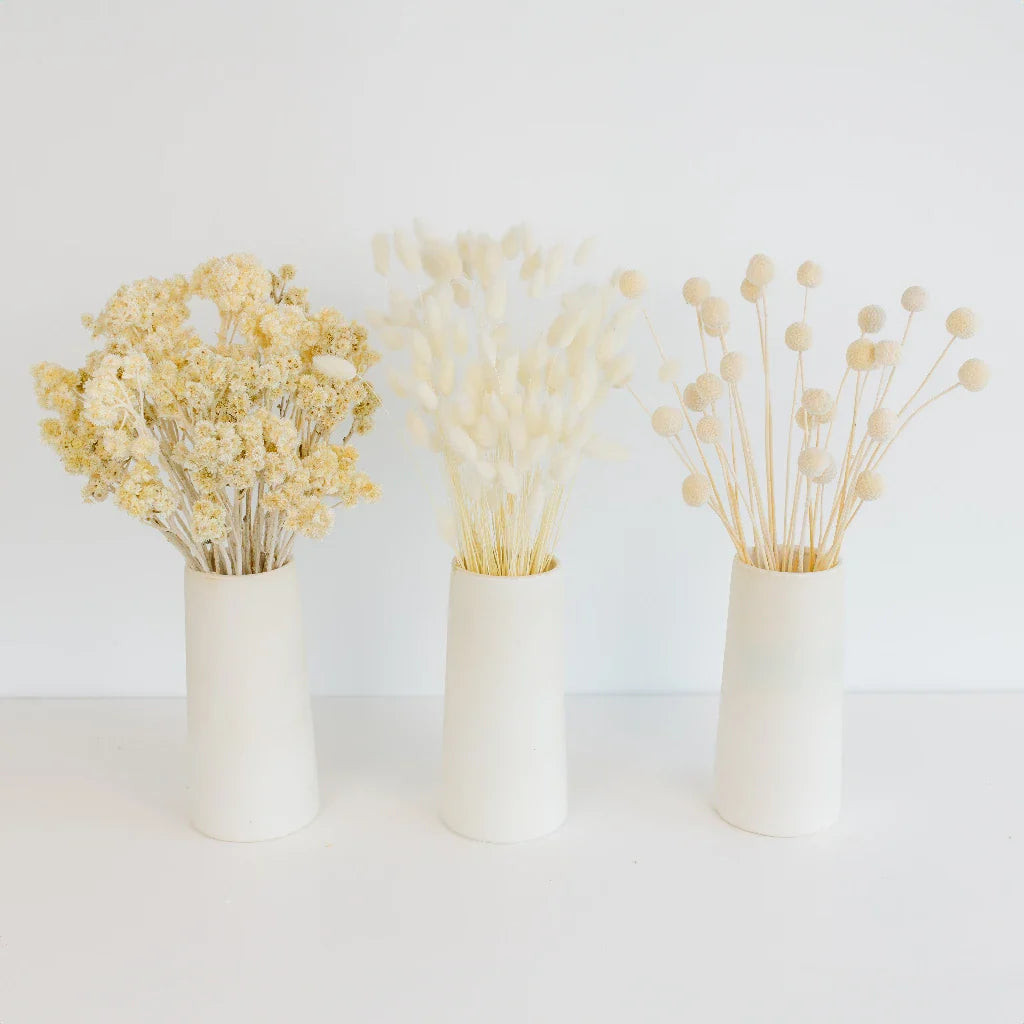 Natural Dried Flower Pack