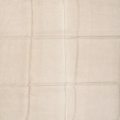 Grey Blended Tussar Tissue Saree With Border-Grey