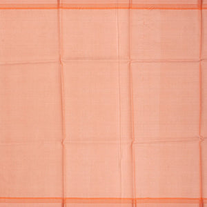 Grey Blended Tussar Tissue Saree With Peach Border-Grey