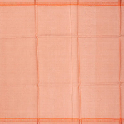 Grey Blended Tussar Tissue Saree With Peach Border-Grey