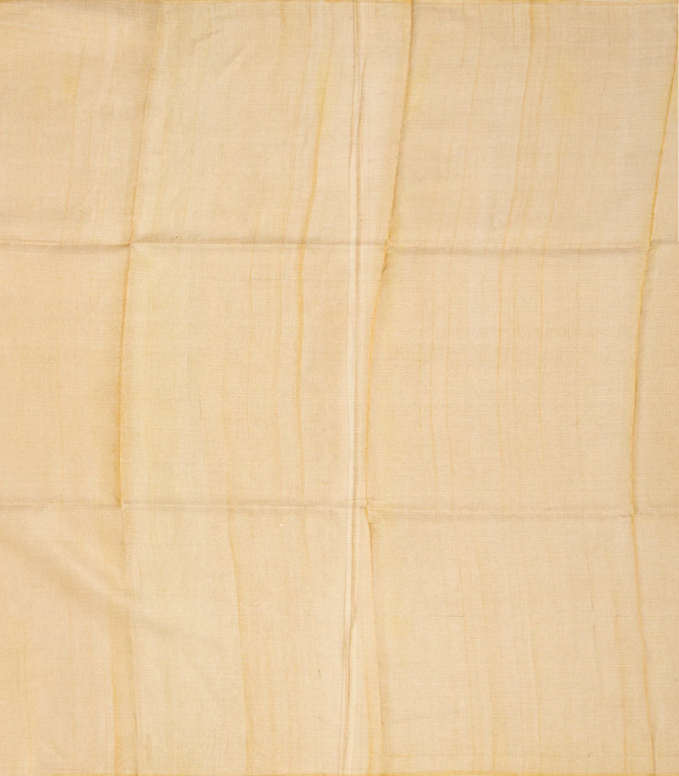 Beige Blended Tussar Tissue Saree With Coin Buttas-Beige