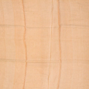 Orange Blended Tussar Tissue Saree With Zari Border-Orange