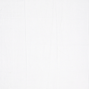 White Handwoven Chirala Saree With Fish Motifs-White