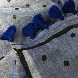 Blue Pakhi