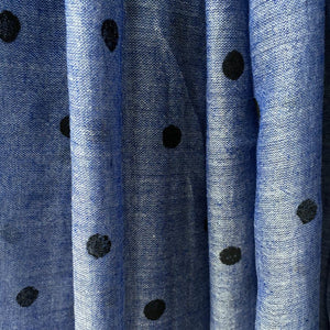 Blue Pakhi