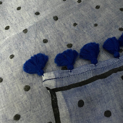 Blue Pakhi