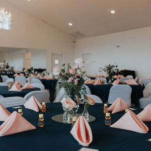 Blue Ridge Mountain Wedding