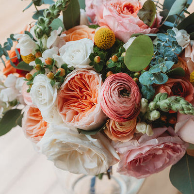 Blue Ridge Mountain Wedding