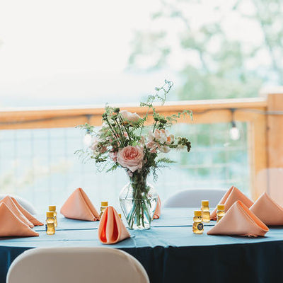 Blue Ridge Mountain Wedding