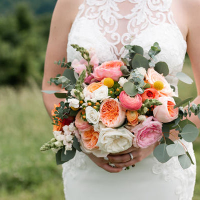 Blue Ridge Mountain Wedding