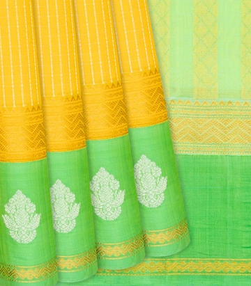 Turmeric Yellow