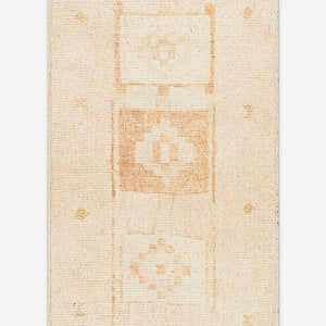 Solana I Rug by Becki Owens x Surya
