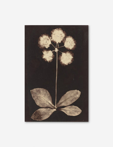Unframed