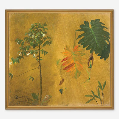 Botanical Study, Jamaica Print by Frederic Edwin Church