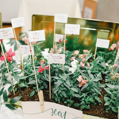 Bright and Colorful Springtime Ceremony