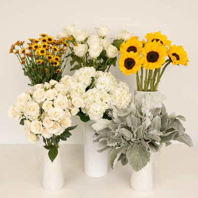 Bright Sky Sunflower DIY Flower Kit