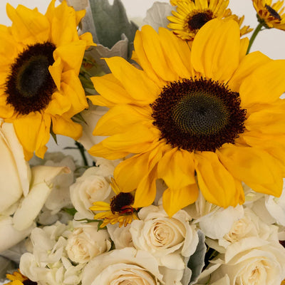Bright Sky Sunflower DIY Flower Kit