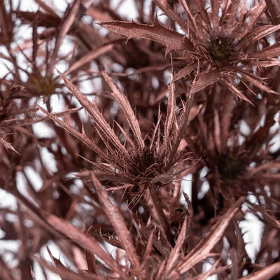 Bronze Rose Gold Thistle Flower