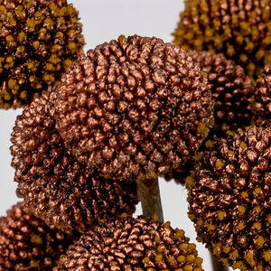 Bronzed Rose Gold Craspedia Billy Balls