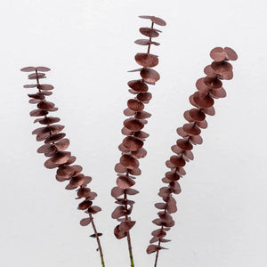 Bronzed Rose Gold Metallic Baby Eucalyptus