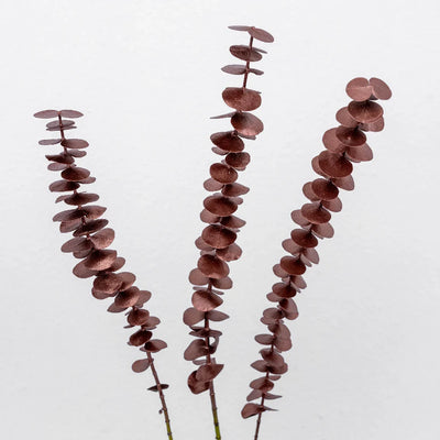 Bronzed Rose Gold Metallic Baby Eucalyptus