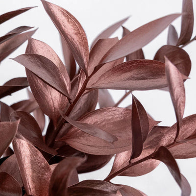 Bronzed Rose Gold Metallic Ruscus