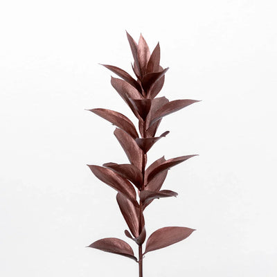 Bronzed Rose Gold Metallic Ruscus
