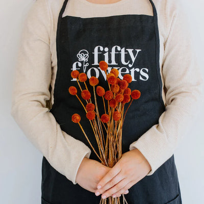 Rust Brown Dried Craspedia Billy Balls