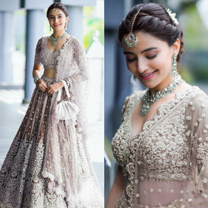 Brown Party Wear Heavy Embroidered Netted Lehenga Choli