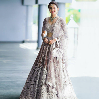 Brown Party Wear Heavy Embroidered Netted Lehenga Choli