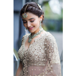 Brown Party Wear Heavy Embroidered Netted Lehenga Choli